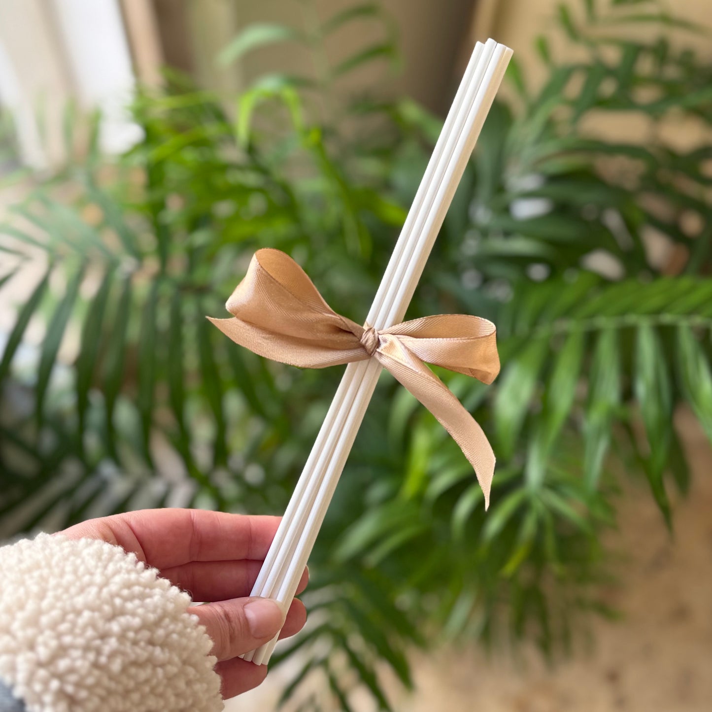 Reed Sticks