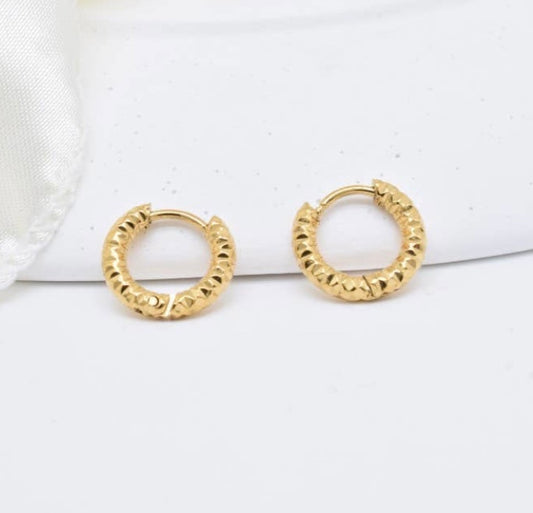 Luna Terra | Earrings