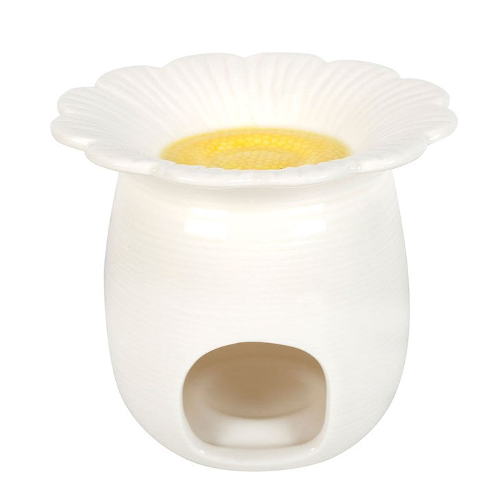 White Daisy  | Fragrance Lamp